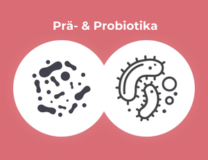 Grafik zeigt Prä- und Probiotika in Mikrobenform.
