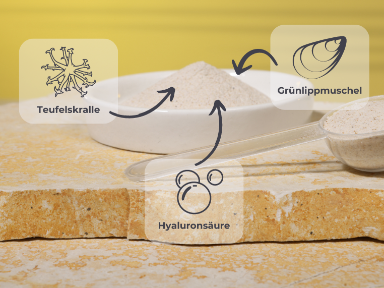 Inhaltstoffe wie Teufelskralle, Grünlipmuschel und Hyaluronsäure.