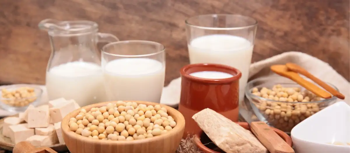 Von vorne: Milchkannen, Kichererbsen und Käse.