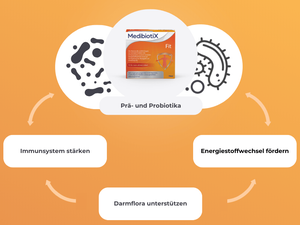 MedibiotiX Fit stärkt das Immunsystem, fördert den Energiestoffwechsel und unterstützt die Darmflora.