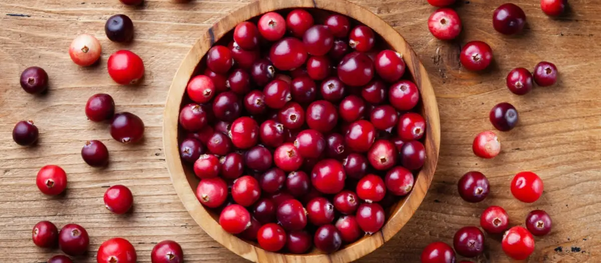 Cranberries in Holzschüssel auf einem Holztisch.