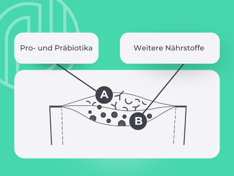 Drei Ebenen auf denen MedibiotiX Mental unterstützt: Vitamine und Mineralstoffe, Prä- und Probiotika, Pflanzenextrakte und weitere Vitalstoffe.