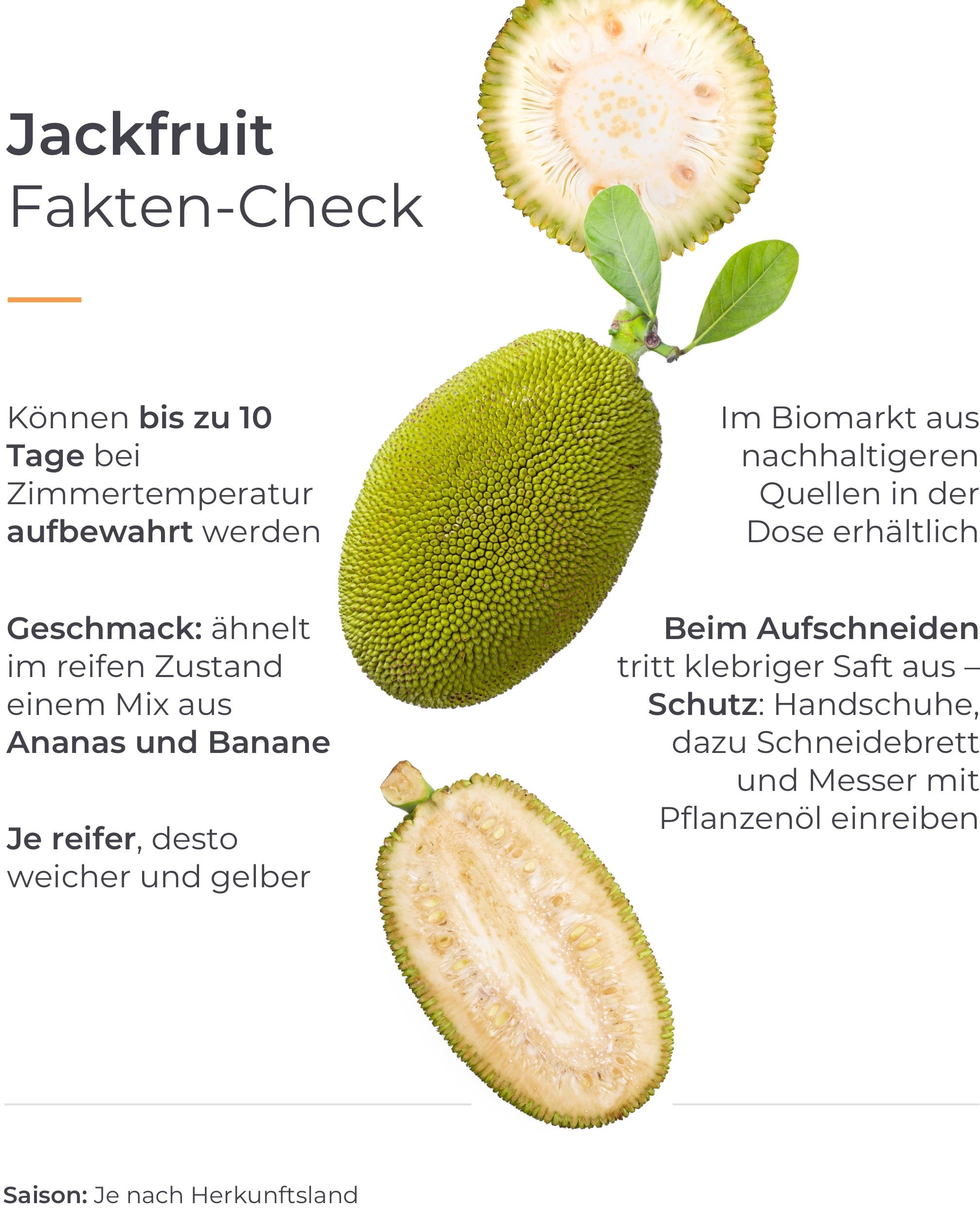 Infografik Fakten-Check Jackfruit.