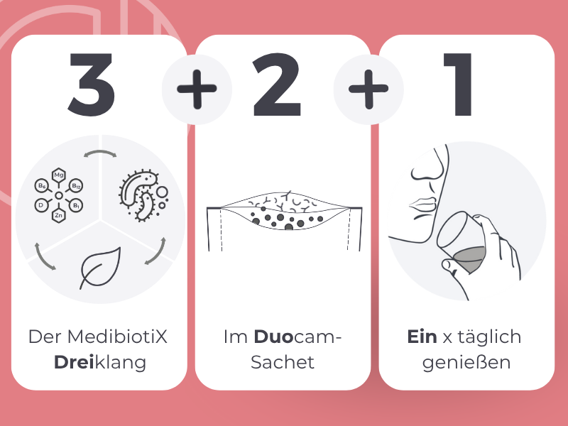Grafik zeigt die drei Elemente, der 3-2-1-Formel von Medibiotix Lipo.
