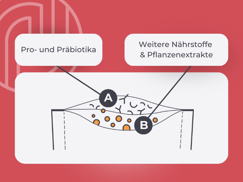 Grafik zeigt die zwei Kammern des Duocam-Sachets: Erste Kammer: Pro- und Präbiotika. Zweite Kammer: Weitere Nährstoffe und Pflanzenextrakte.