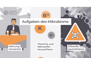 Grafik mit Textbaustein: Aufgaben des Mikrobioms.