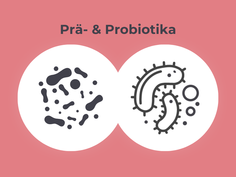 Inhaltsstoffe von MedibiotiX Lipo: Prä- und Probiotika.