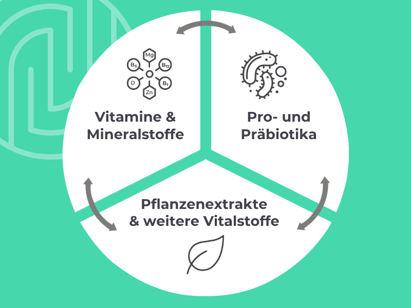 Der Medibiotix Dreiklang: Vitamine & Mineralstoffe, Pro- und Präbiotika, Pflanzenextrakte und weitere Vitalstoffe.