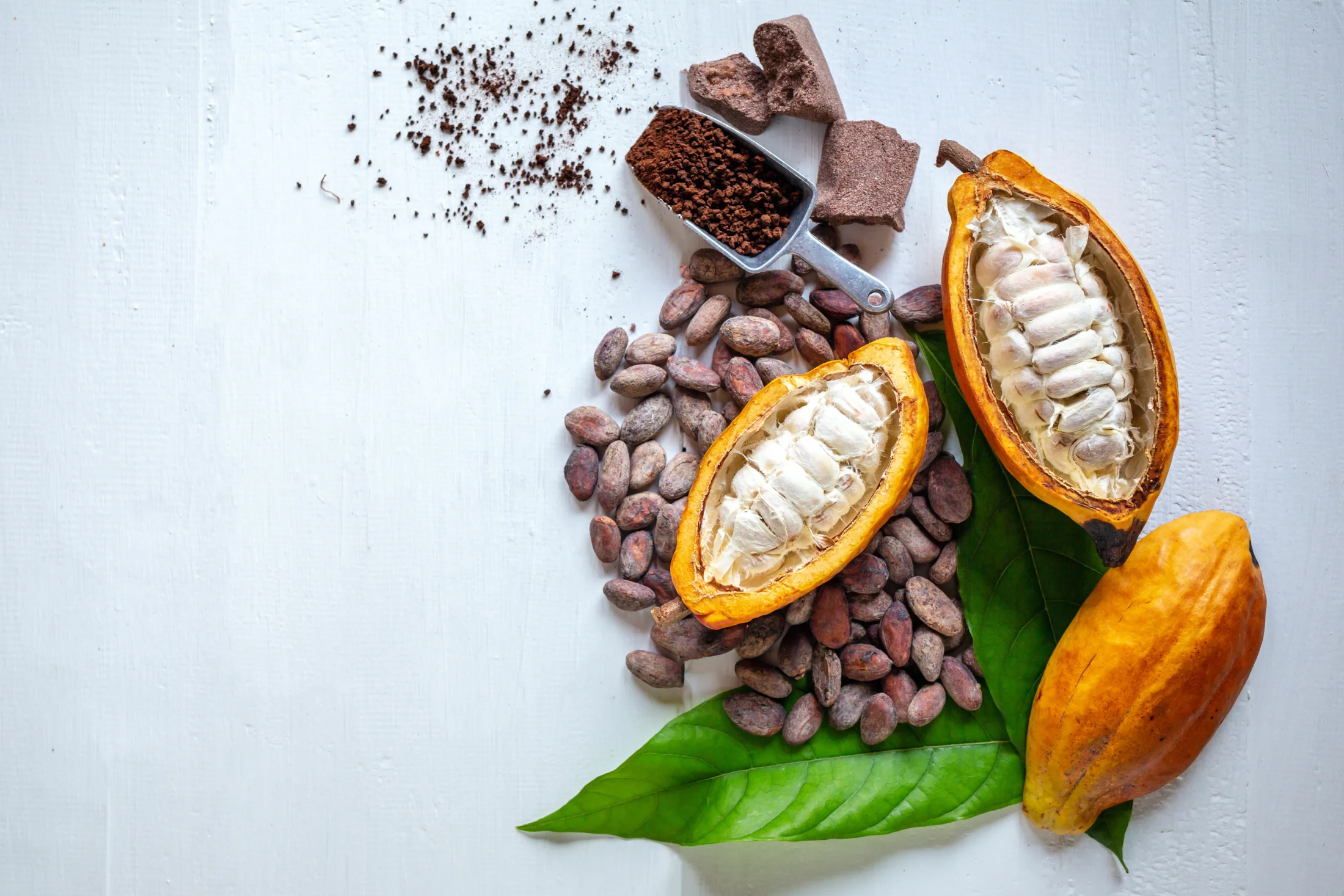 Frucht des Kakaobaums, Kakaobohnen und gemahlener Kakao.