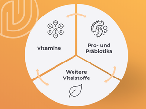 MedibiotiX Fit Dreiklang.