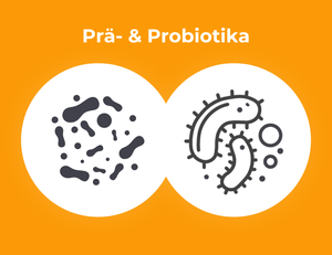 Grafik: Präbiotika und Probiotika.