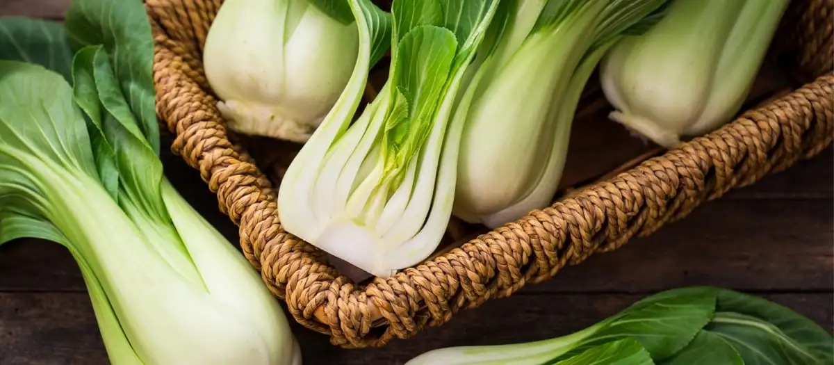 Pak Choi liegt in einem Korb auf einem Tisch.