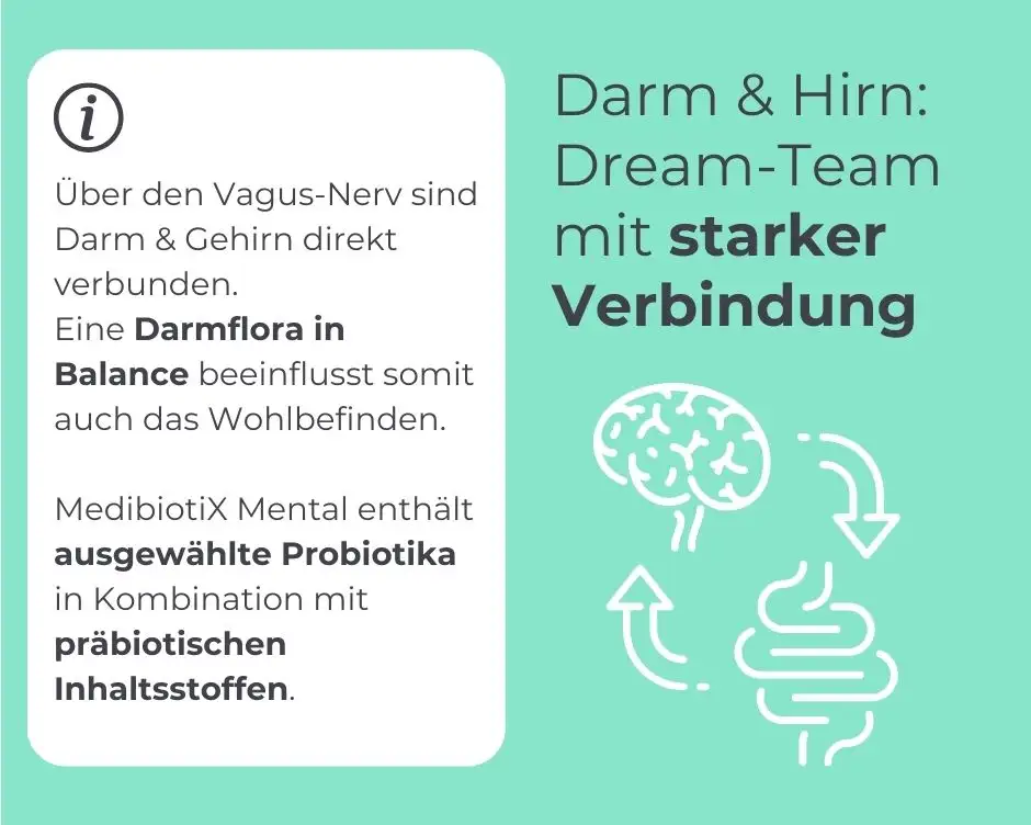 Erklärung mit Grafik: Wie hängen Darm und Hirn zusammen?