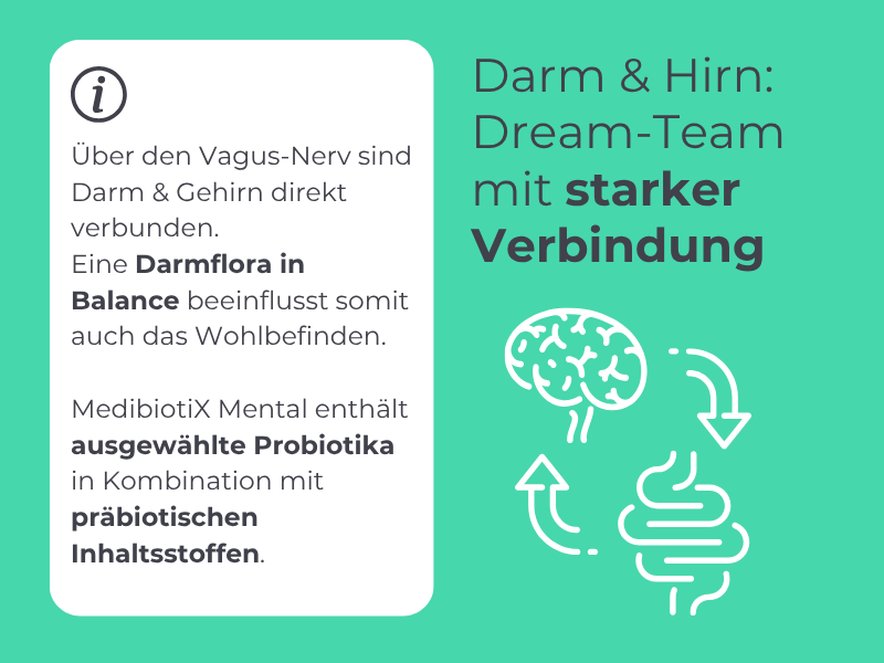 Erklärung mit Grafik: Wie hängen Darm und Hirn zusammen?