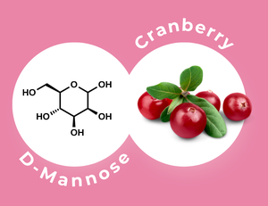 Grafik zeigt Cranberrys und D-Mannose.