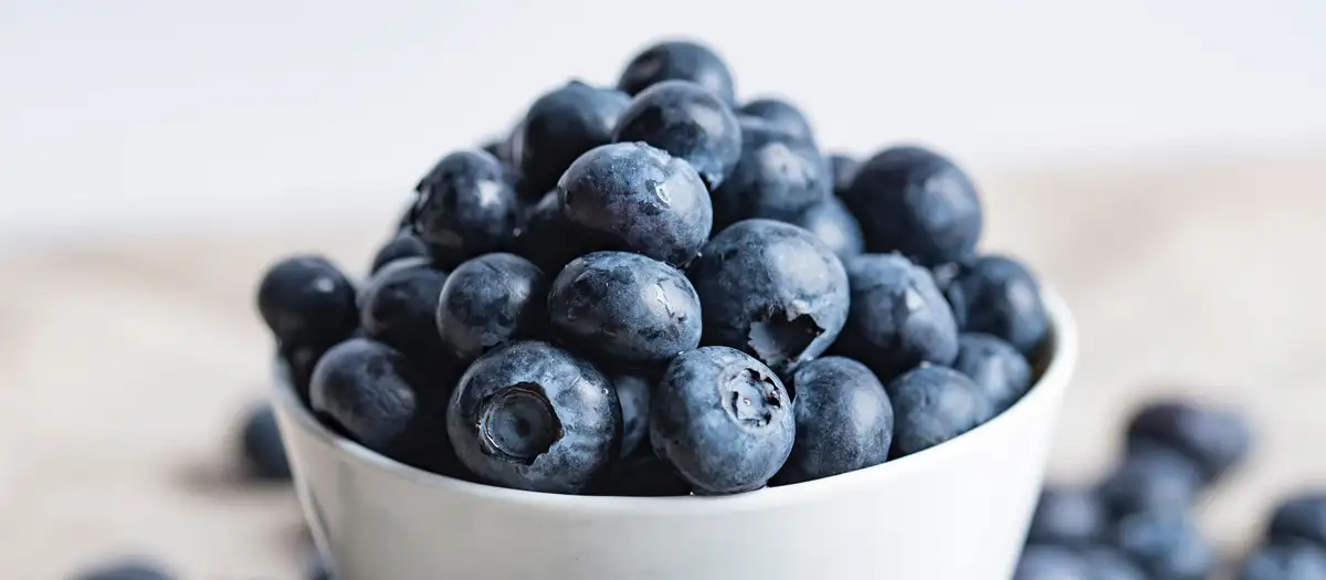 Weiße Schüssel mit Blaubeeren gefüllt.