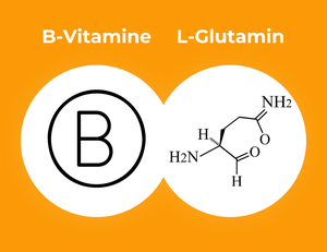 B-Vitamine und L-Glutamin.