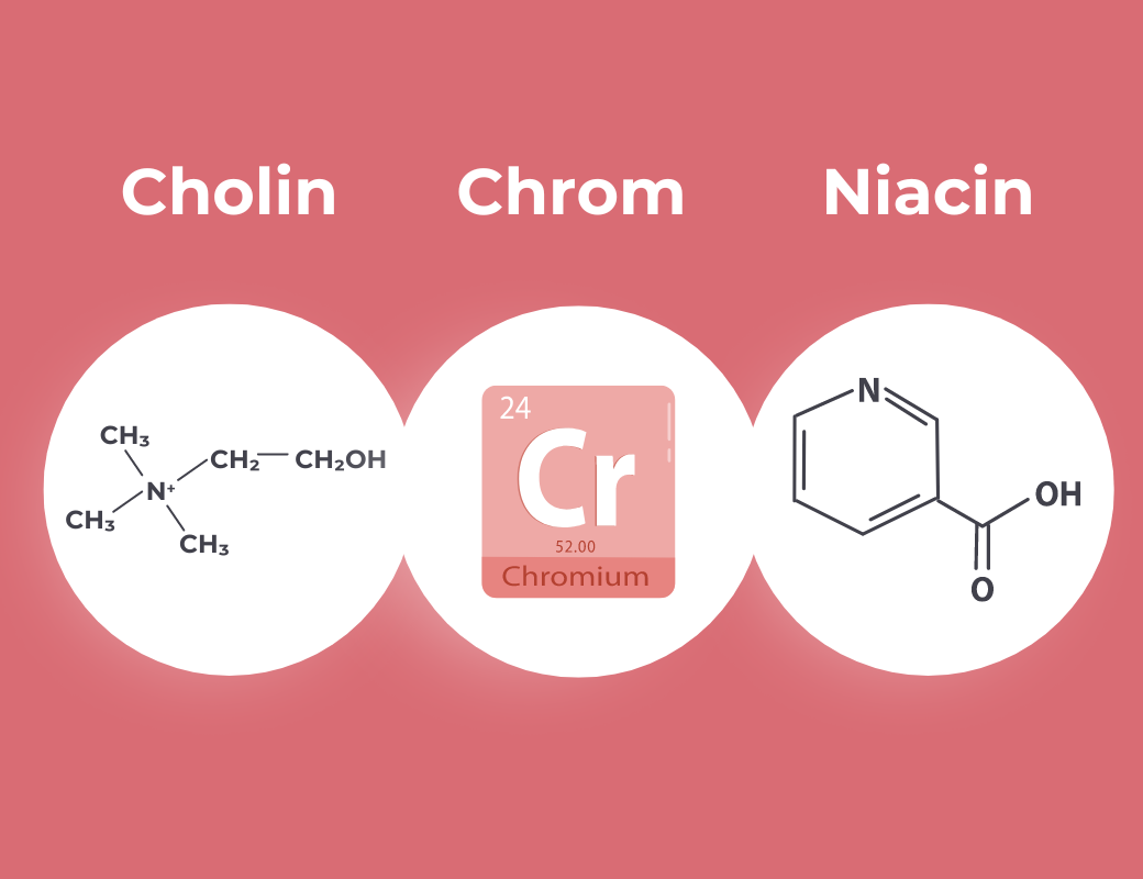 Grafik zeigt drei Inhaltsstoffe: Cholin, Chrom und Niacin.