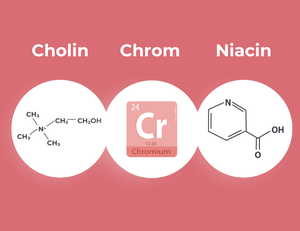 Grafik zeigt drei Inhaltsstoffe: Cholin, Chrom und Niacin.