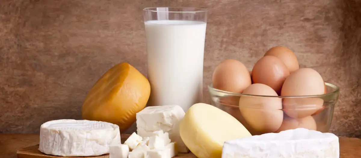 Von vorne: Ein Glas Milch, Eier und Käse.