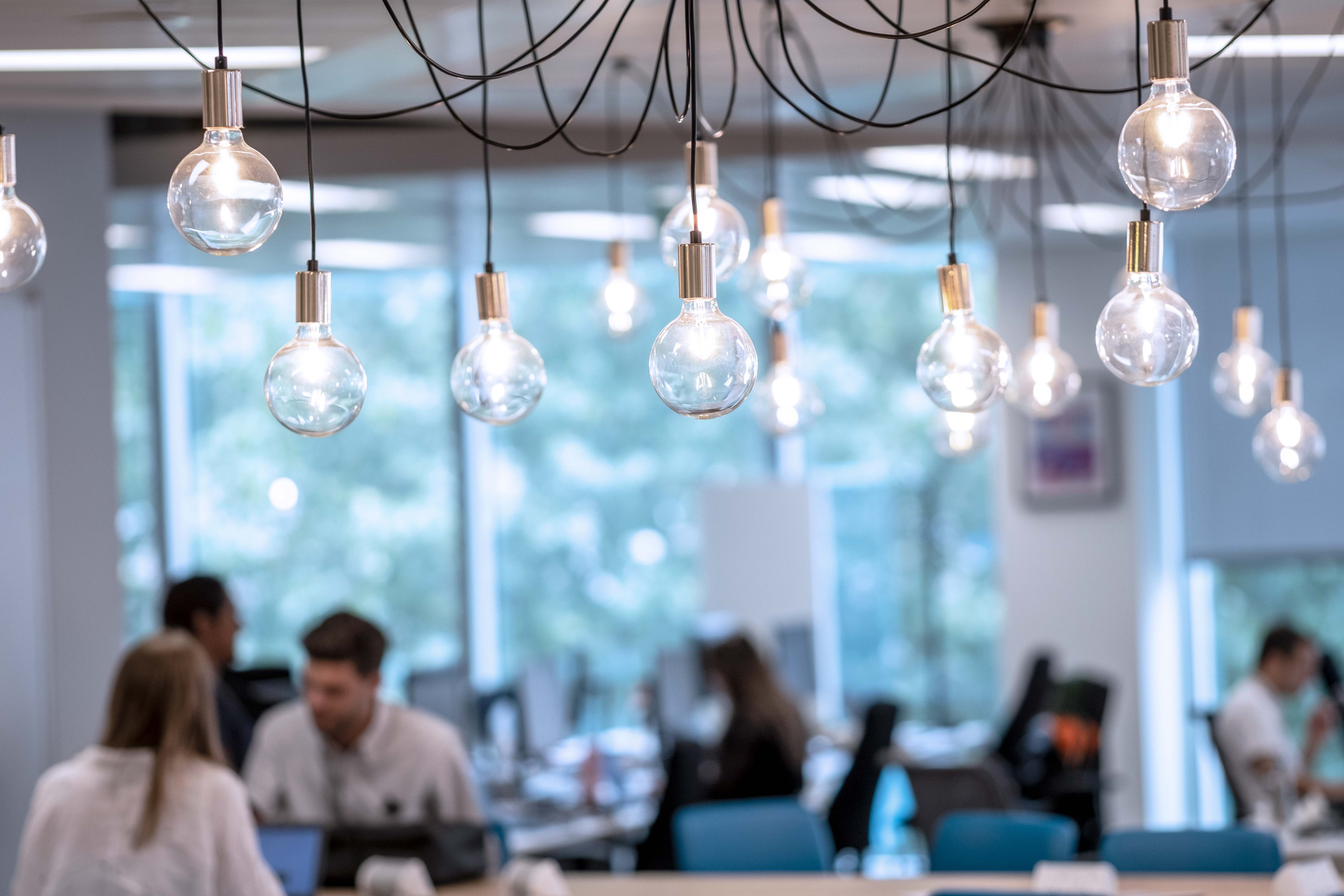 Light bulbs hanging from an office ceiling