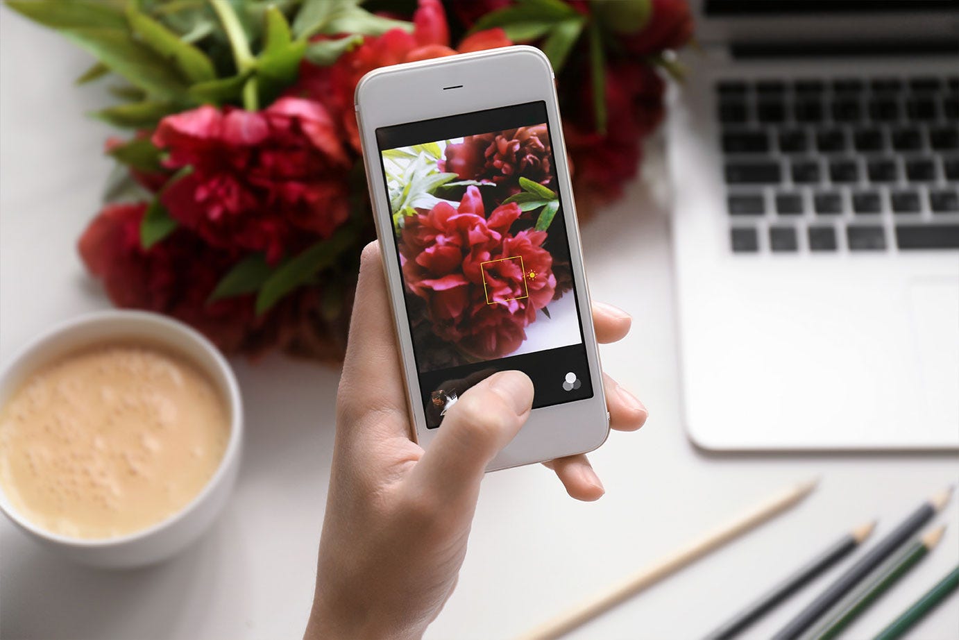 Flowers being taken for Instagram