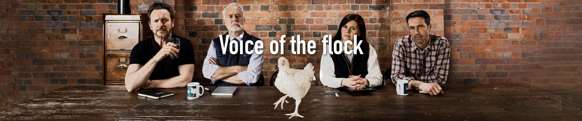 Campaign image voice of the flock