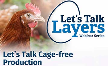 Let's Talk Layers Webinar Series - Let's Talk Cage-Free Production