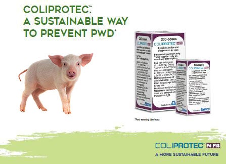 Coliprotec. A sustainable way to prevent PWD.