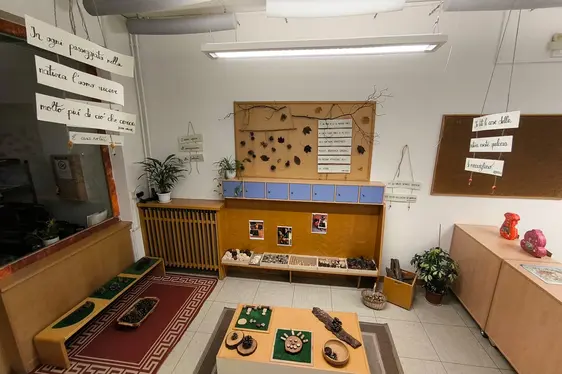 Tico Maia - Angolo naturale