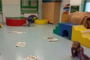 Palestra