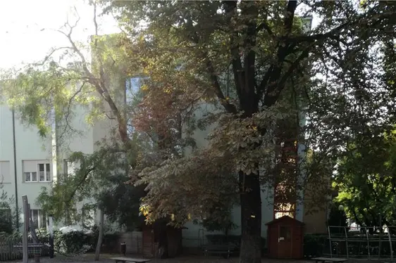 Giardino