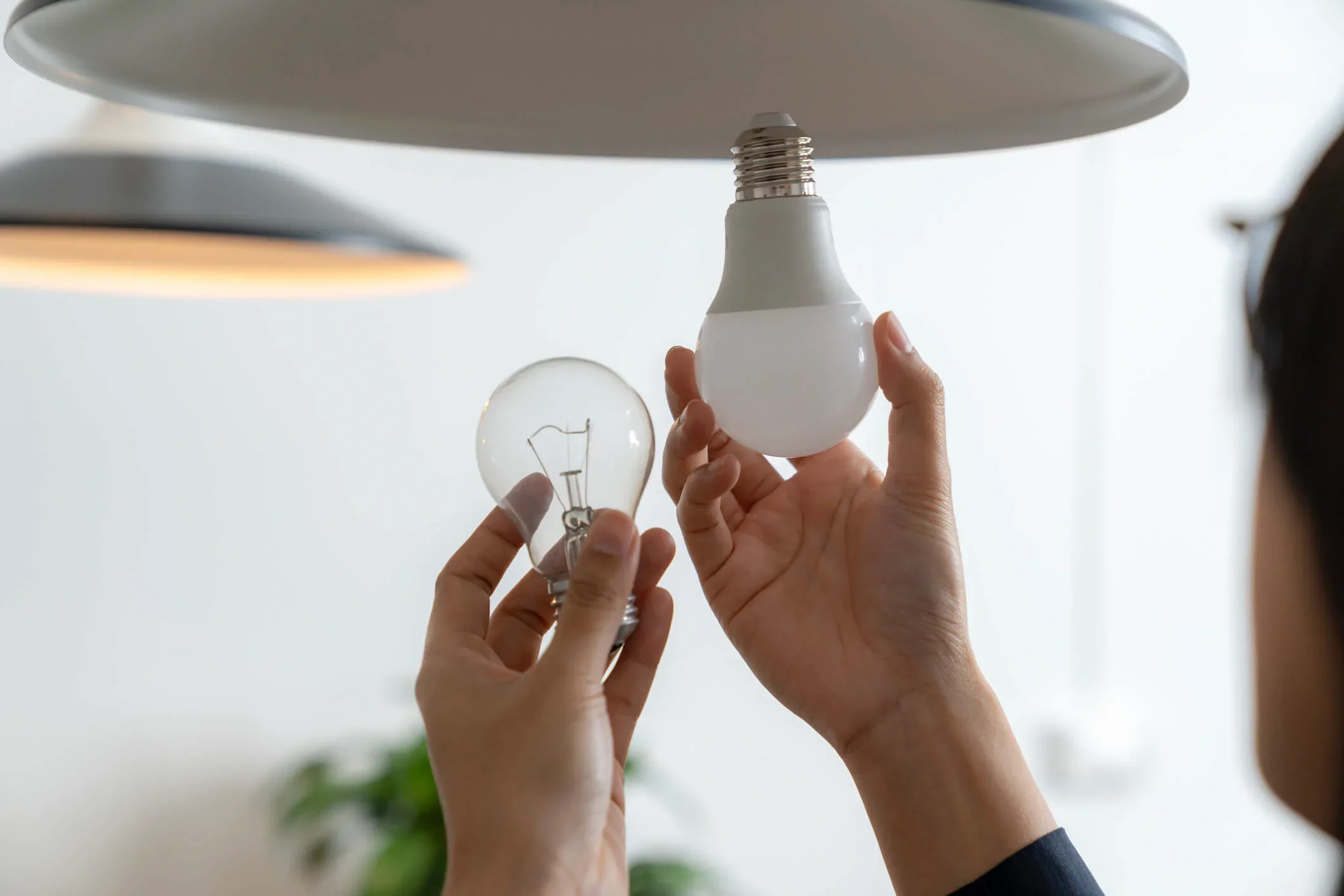 A business owner changes an old light bulb for an energy efficient light bulb to save energy and money