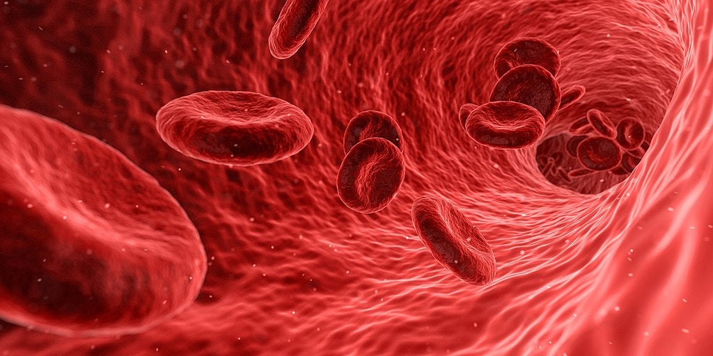 A CGI rendering of red bloods cells CC0