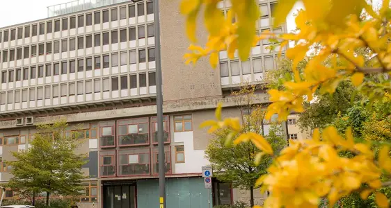 Die Gemeinschaftshäuser