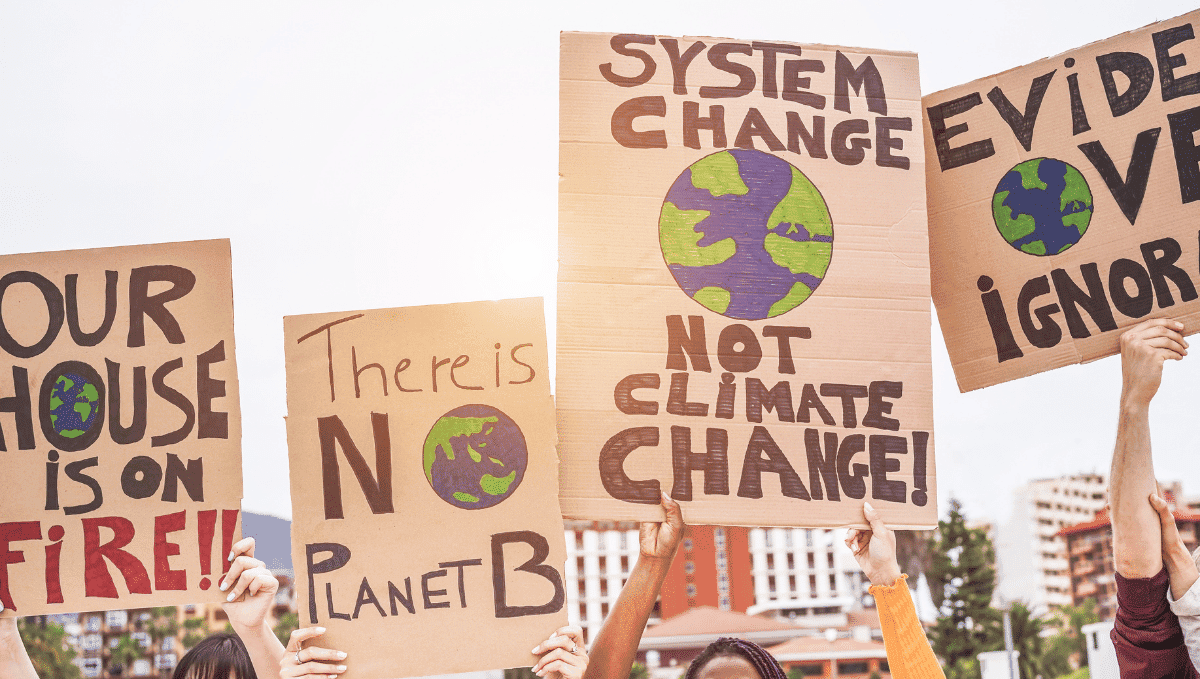 Climate change protest placards with slogans saying 'there is no planet b' and 'system change not climate change'