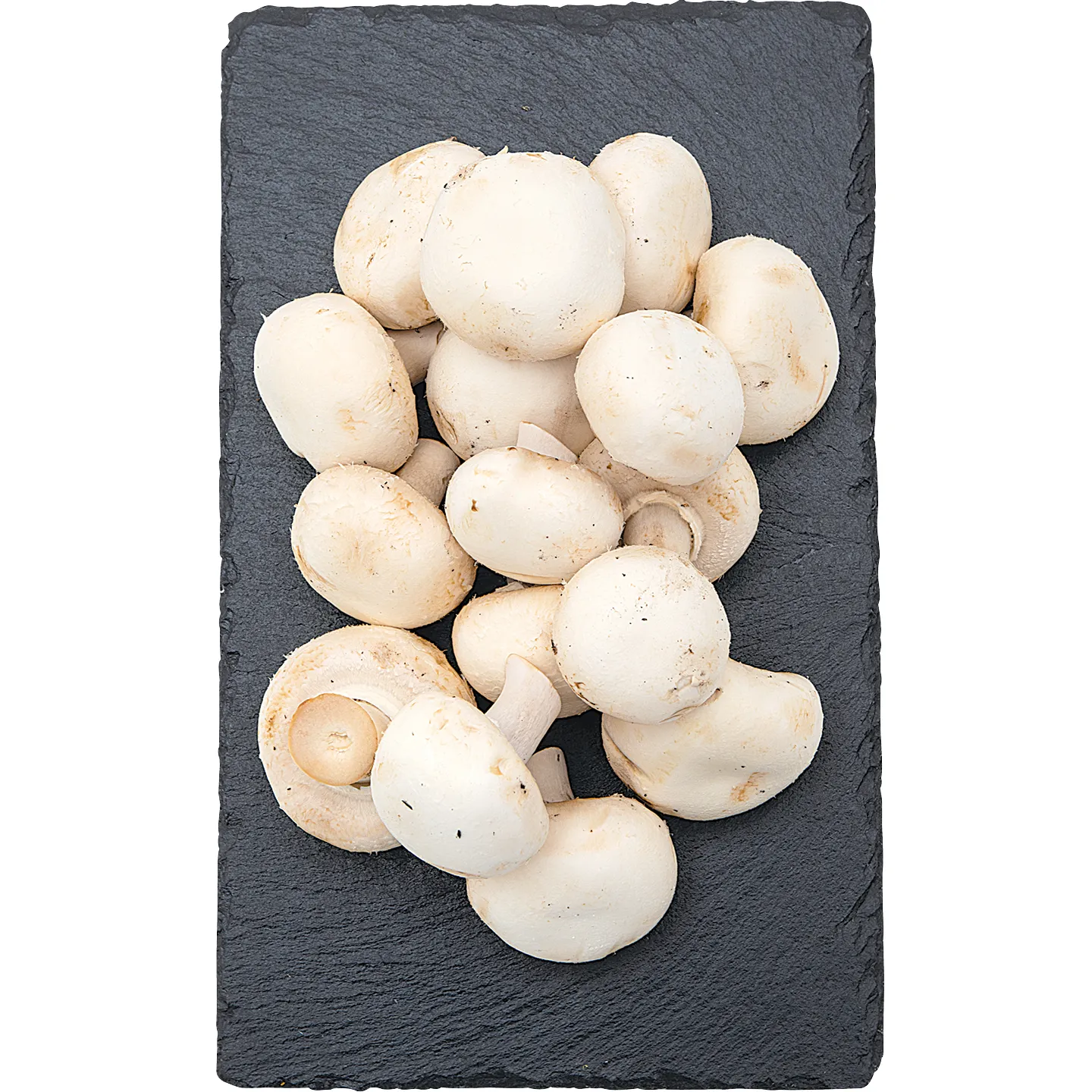 MY BIO FEHÉR CSIPERKE GOMBA 250G