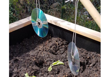 CD Vogelschreck CD Vogelschreck