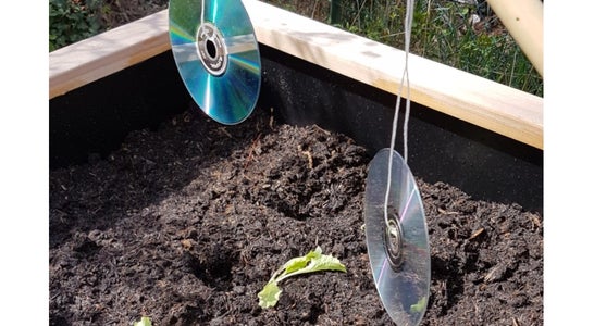 CD Vogelschreck CD Vogelschreck