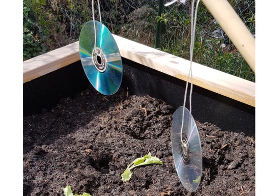 CD Vogelschreck CD Vogelschreck