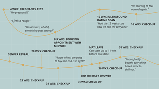Illustration of a pregnancy chart.