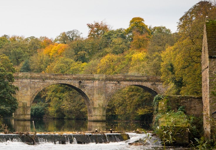 Bridge, trees and river at Durham