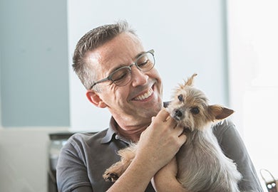 A man playing with a small pet dog