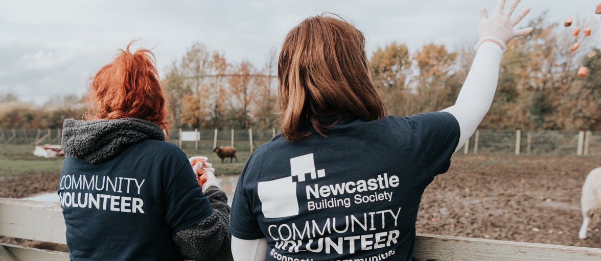 Newcastle Building Society colleagues volunteering at local farm