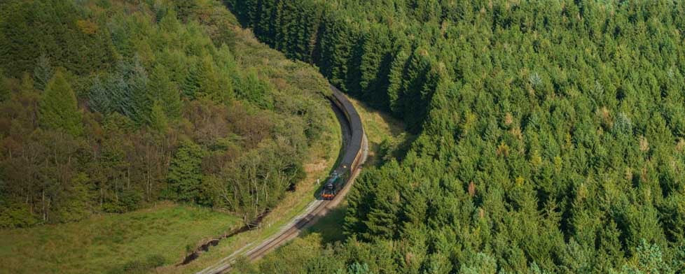 Birds eye view of a railway track and a train on route, in the middle of a large forest. 