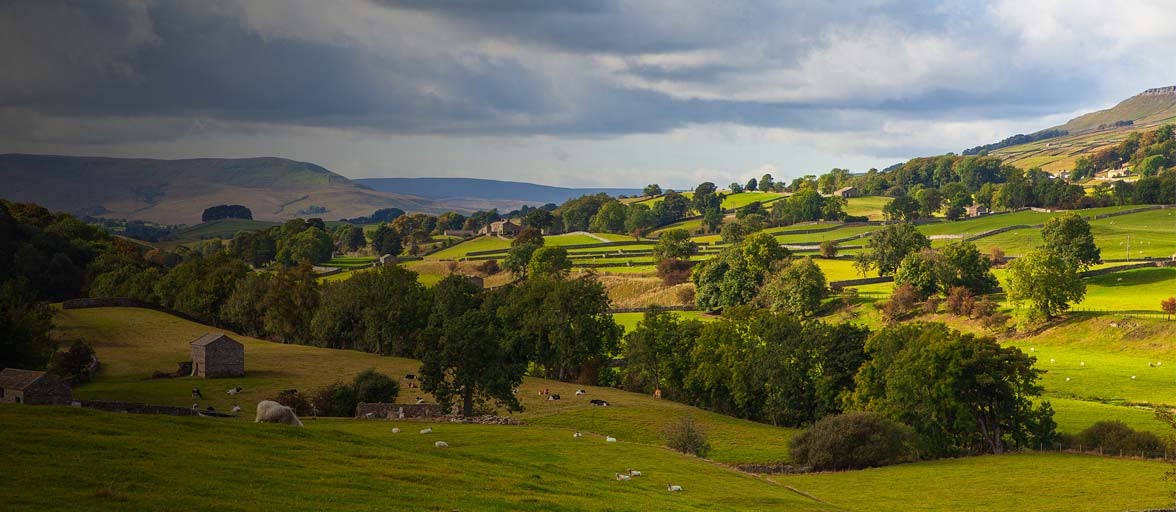 Scenic landscape of Hawes, rolling hills with tress, dotted with farm buildings and the occasional sheep. 