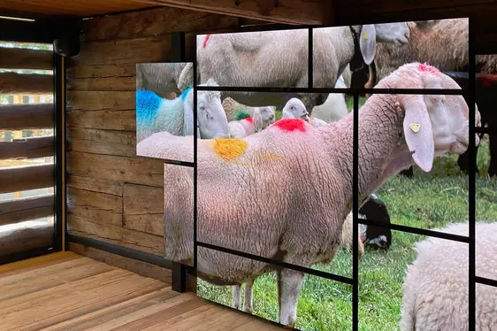 campus transhumanza ©archeoParc Schnalstal, Foto Ganesh Neumair