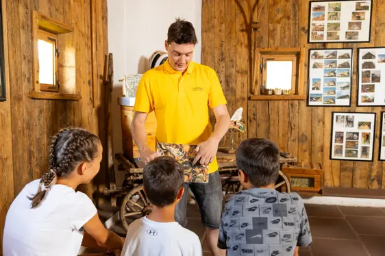 Imkereimuseum Plattner Bienenhof. Foto Imkereimuseum