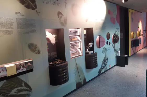 Centro visite avimundus, mostra permanente. Foto Ulrich Pfeifer