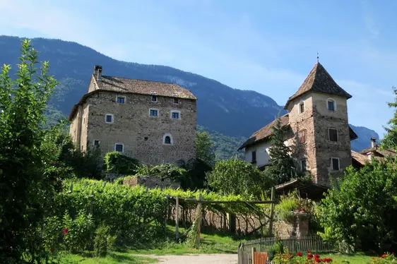 Museum Schloss Moos-Schulthaus. Foto Museum Schloss Moos-Schulthaus